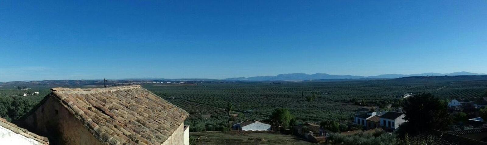 Casa Rural Verde Oliva Баньос-де-ла-Энсина Экстерьер фото